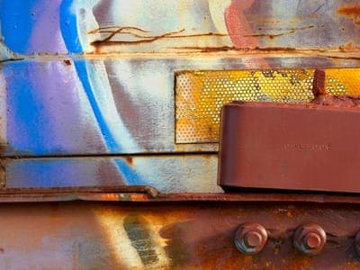 Beauty is Not Always Pretty: Recent Photographs and Prints by Bill Thompson