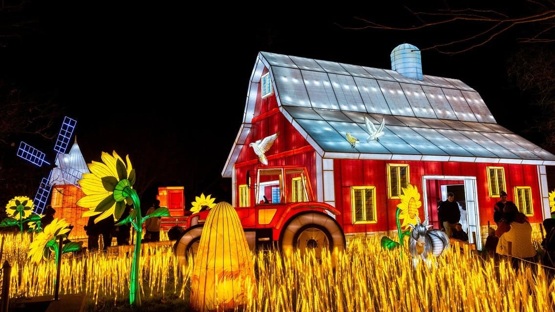 Tianyu Lights Festival Dallas 2025